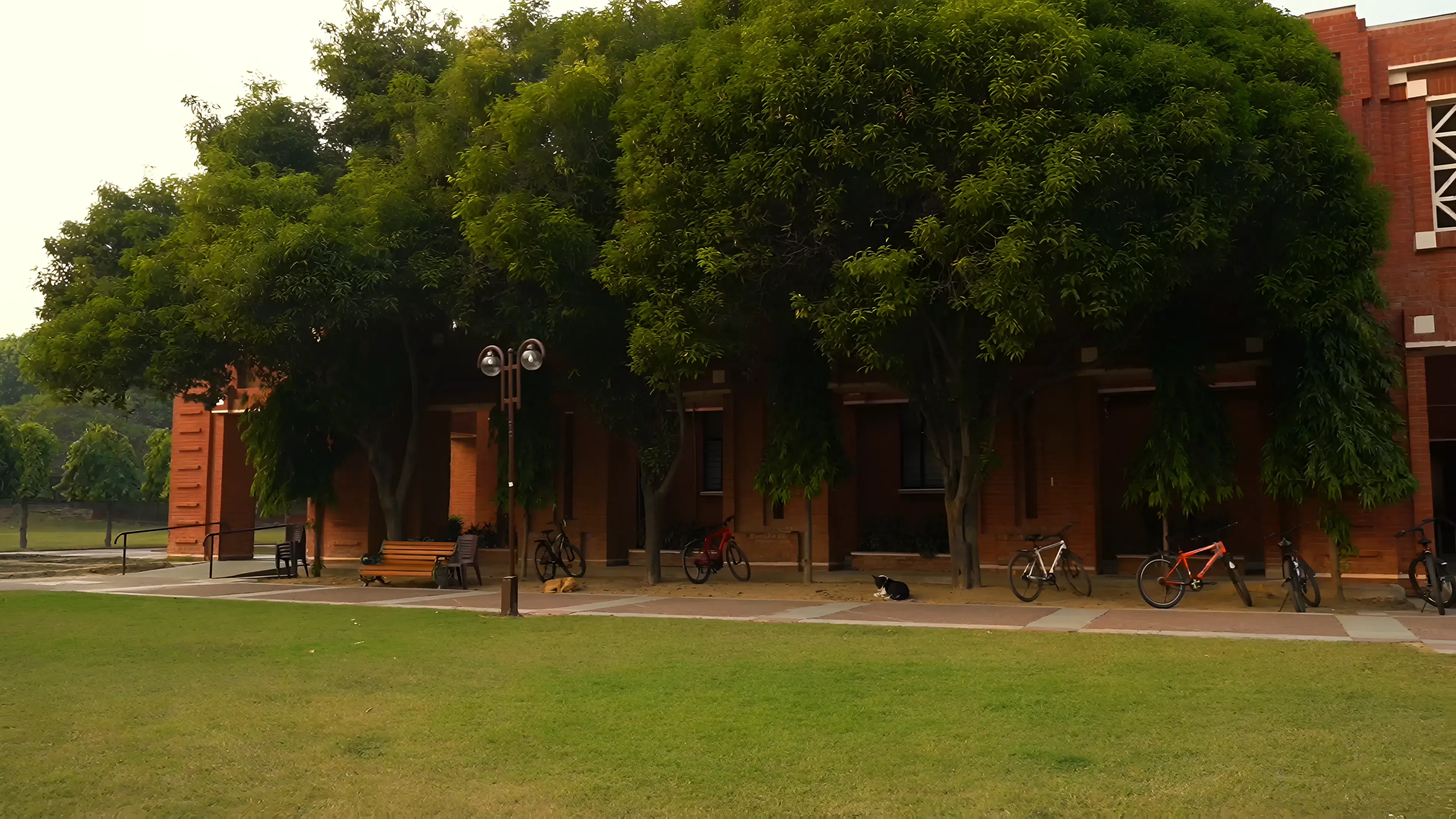IIM Lucknow sports photo 2